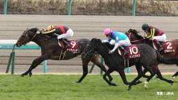 今週末は、中山記念(GII)！  2016年の優勝馬は、#ドゥラメンテ。現役最後の勝利がこの中山記念だったよ。昨年(2022年)は #タイトルホルダー をはじめ、子供たちが「GI 6勝」と大活躍！きっと今は天国で大喜びしているね。  #JRA #JRAFUN #中山記念 #Ｍ・デムーロ