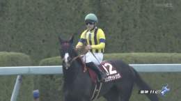 #シングザットソング が、フィリーズレビュー(GII)を優勝！  さぁ、桜の舞台が待っている！2着は #ムーンプローブ、3着は #ジューンオレンジ。3着以内馬に #桜花賞(GI)の優先出走権が与えられるよ。本番も楽しみだね！  #JRA #JRAFUN #フィリーズレビュー #吉田隼人
