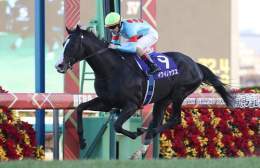 グランプリ、有馬記念はイクイノックスが圧巻の末脚を繰り出し優勝！　秋の天皇賞に続きGIレース2勝目を挙げました！　2着に入ったボルドグフーシュもこれがラスト有馬となる福永祐一騎手を背に豪快なまくりで魅せてくれました