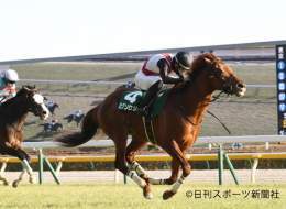 【#ダイヤモンドステークス】東京競馬場で行われたダイヤモンドステークス（GIII）は西村淳也騎手騎乗の2番人気ミクソロジーがレコード勝ち！ 重賞初制覇を果たしました！ #ダイヤモンドS