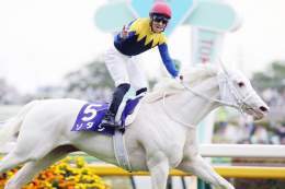 今日2月8日は白毛のアイドル #ソダシ のバースデー。昨年はヴィクトリアマイルでG1・3勝目を挙げ、マイルCSでは惜しくも3着。今年はどのような活躍を見せてくれるのか、注目です！