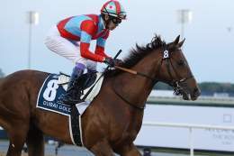 【ドバイゴールデンシャヒーン】レース後のリメイクら関係者コメントです！ 武豊騎手「直線では良い脚を使ってくれましたが、あと少しでした」   ドバイワールドカップデー特集（2023）