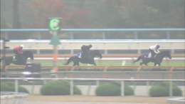 【#京都2歳ステークス 】 兄姉に3頭のGⅠ馬がいる超良血馬#グランヴィノス 新馬戦では単勝1.3倍の人気に応え快勝 同舞台で勝って来年のクラシック候補に名乗りをあげるか注目 最終追い切りでは重賞馬2頭の間を割って終始手応え優勢 友道師は「勝ってゆったりしたローテで使いたいね」と期待を寄せた