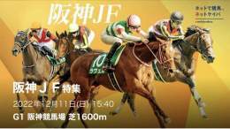 12/11 阪神11R［阪神JF］【A】  フォロー&amp;リツイートで無料です \u25ce差し展開想定  ［ジャパンカップ］ \u25ce3.ヴェルドライゼンテ（9.5倍） ［天皇賞（秋）］ \u25ce3.パンサラッサ（22.8倍） ［秋華賞］ \u25ce7.スタニングローズ（5.7倍）  #BOOKERS