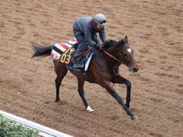弥生賞 歴代勝ちタイムベスト5 1.59.9 マカヒキ(ダービー馬) 2.00.1 ウイニングチケット(ダービー馬) 2.00.4 タスティエーラ 2.00.5 コスモバルク(皐月賞、JC2着等) 2.00.5 アドマイヤオーラ(ダービー3着) 2.00.5 アスクビクターモア(菊花賞馬) #タスティエーラ #弥生賞