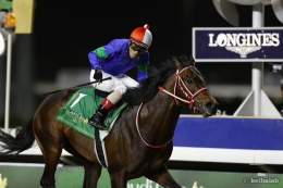 今夜のスケジュール(日本時間) 21:05 ゴドルフィンマイル(日本馬3頭) 22:50 UAEダービー(日本馬5頭) 23:25 ドバイゴールデンシャヒーン(日本馬4頭) 00:10 ドバイターフ(日本馬3頭) 01:00 ドバイシーマクラシック(日本馬3頭) 01:35 ドバイワールドカップ(日本馬8頭)