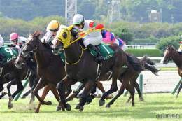 \u246aシェーンプリマー 永野 \u246bブーケファロス 菅原明 \u246cアスクドリームモア 岩田康 \u246dヤクシマ 岩田望 \u246eノーブルラン 津村 \u246fスピードオブライト 石川 \u2470ロッソランパンテ 木幡巧 \u2471ロンドンプラン 松山 #競馬  #keiba #京王杯2歳S