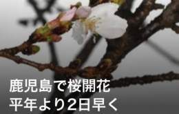 おはようございます  昨日のサッカー サッカー日本代表引き分け  スピッツメジャーデビュー32周年 おめでとうございます  各地域ではイベントあるけど雨天のため中止あるのでは 桜開花宣言でも今日は雨  雨の週末ですが素敵な１日を 電気記念日　自愛の日 #おは戦50325md