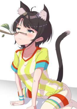 「ちゅーばちゅばちゅば！またたび１分間我慢なんてVtuber界の荒波に揉まれたスバルなら余裕ちゅばなぁ！」 #プロテインザスバル #猫耳スバル   結果はリプ欄へ