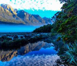 Blue mist at Lake Matheson in New Zealand