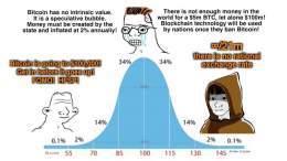 I am convinced that #Bitcoin'ers are either brilliant or all idiots.  Either we are insane, or directionally correct.  People of the future: TAKE NOTE...  What we believe is so absurd that if we are partially right, we are probably entirely right.  #
