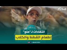 "البعض تخلوا عن قططهم وكلابهم".. مواطنون يطالبون بتوضيحات بخصوص منع إطعام الحيوانات الأليفة
