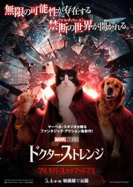 今日(4/11)#ペットの日 に合わせて 1日限定の特別ビジュアル解禁 \u203c\ufe0f  ／ マルチバースのどこかに 存在する＜かもしれない＞ #動物ストレンジ アッセンブル \ud83d\udc3e ＼  禁断の世界《マルチバース》では すべての&ldquo;不可能&rdquo;が&ldquo;可能&rdquo;になる&mdash;。  『#ドクターストレンジ ／マルチバース・オブ・マッドネス』5/4公開 \ud83c\udfac