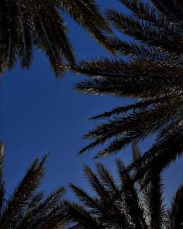 keep looking up シ