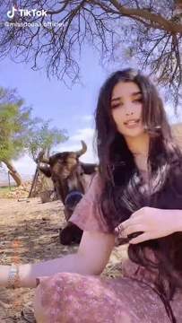 ثور عاشق بقره ويدلعها بقوره \ud83d\ude02\ud83d\ude02\ud83d\udc83\ud83d\udc83\ud83d\udc83\ud83d\udc83 #missdoua_جيش #missdouaa  insta:missdouaa.official