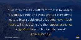 Many have twisted this verse for antisemitic purposes, but it actually affirms that God's plan for Israel is still in effect. The pattern of theologians removing ethnic Israel from God’s plan has led to antisemitism, for which the church should repen