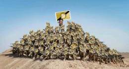 They Need To Join #DogeArmy