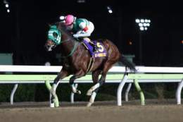 #勝島王冠 1着はライトウォーリア。本日大井競馬場で行われた第14回勝島王冠は、矢野貴之騎手(大井)騎乗で8番人気のライトウォーリア(牡5･川崎･内田勝義厩舎)が制しました。同馬は埼玉新聞栄冠賞に続き重賞連勝。2馬身差の2着にリンゾウチャネル、3着はカジノフォンテンが入りました。