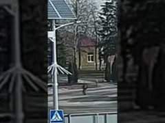 A Russian Soldier Falling Off a Tank!!!! #хтивийпонеділок #Russia #StandWithUkraine️ #RussiaIsATerroristState #UkraineRussiaWar #UkraineWar #StopUkrainizacjiPolski #Russia #StandWithUkraine️