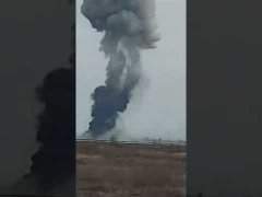 Pictures