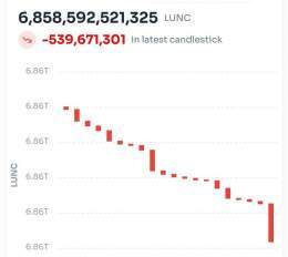 Yoooo who just burnt over 500 million  WTF  #LUNC   #LuncBurn #Binance #Bitcoin #LunaClassic #LUNCcommunity