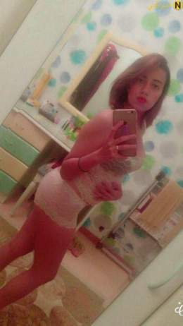 فرسه هايجه
