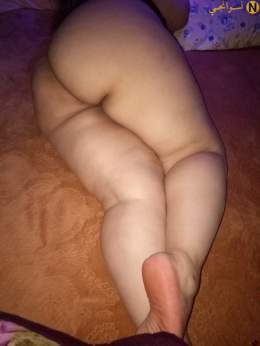 الفرس البلدى المربرب الفاجر