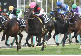 阪神9R 松籟S 4歳上3勝 #ゼーゲン #鮫島克駿 父ディープインパクト 母ソベラニア 美浦・堀宣行厩舎所属。中山記念制したヒシイグアスと3週連続で併せた調教パートナー。  阪神10R マーガレットS 3歳L #ビッグシーザー #幸英明 父ビッグアーサー 母アンナペレンナ 2着ブーケファロスと同産駒ワンツー。