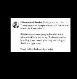 Turkey Palestine and the Kurds