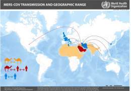 ALERT: A man has tested positive for a "potentially fatal" Coronavirus called MERS-CoV in the city of Abu Dhabi, World Health Organization says  Out of all recorded cases, this virus has had a 36% fatality rate, according to WHO  WHO recommends "SURV