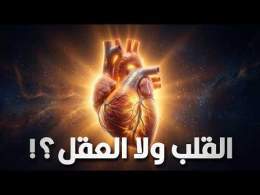 ليه بنعتبر القلب رمز المشاعر مع إنه عضو عادي بيضخ الدم؟