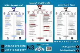 Create a professional arabic or english #CV in minutes with a great infographic or modern design  for more check our #DM  . . . #كرستيانو_رونالدو #مرسول_بارك #رونالدو #النصر