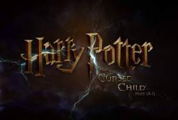 Warner Bros приступила к разработке фильма &laquo;Гарри Поттер и проклятое дитя&raquo;  Делаем ставки Гарри будет: - транснигером - трансгендером - рядовым сникерсом, как и новая версия Д&rsquo;Арданьяна