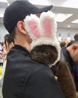 &laquo;Ребята, что-то я боюсь наступать.  Ваш Новый Год&raquo;