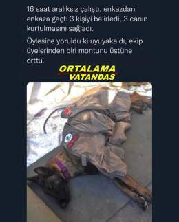 Şu &uuml;lkede bu k&ouml;pek kadar bile, faydası olmayan insanlar var !  AFAD DA BİZİM AHBAP deprem 1 Milyar AhbapDernegi Haluk Levent Tarkan 1 ETH Enkazdan Katar d&ouml;rtyol Antakya'da Merdivenden Elif Ertem Şener Hollanda Arda G&uuml;ler'e Deniz B