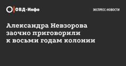 Суд заочно приговорил журналиста Александра Невзорова к&nbsp;восьми годам колонии из-за постов&nbsp;о&nbsp;российском ударе по&nbsp;родильному дому в&nbsp;Мариуполе и&nbsp;убийствах мирных жителей Бучи  Журналист покинул Россию еще до&nbsp;возбуждени
