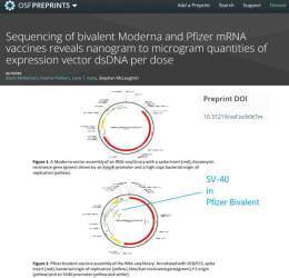 McKernan et al, analyzed two vials of @moderna_tx and 2 vials of @pfizer bivalent vaccines.  The cancer promoter SV-40 was in @pfizer.  Neither company has done analyses to corroborate or refute these findings. #courageousdiscourse @drcraigwax @MdBre