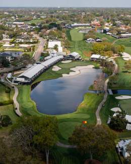 Beautiful Bay Hill from above