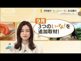 新井恵理那が選ぶ！「インドアスポーツ」「弁当箱」「サウナ」追加情報【#あらいーな】(2022年9月30日)      #Provided #あらいーな #テレビ朝日 #ニュース #ニュース企画 #新井恵理那