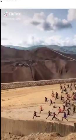 Everybody running to buy back dogecoin now that Elon is in charge #dogecoin