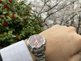 おはようございます。  桜と椿をバックに。  #SBGH269 #グランドセイコー