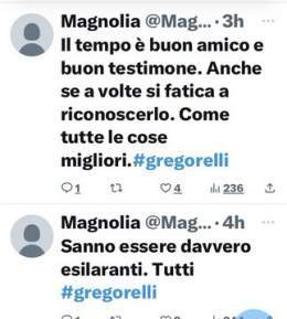 #gregorelli #eligreg