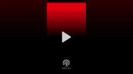 Pictures