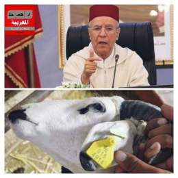 التوفيق وزير الأوقاف المغربي باغي يطنݣنا : "قاعات الصلاة ستغلق للأبد وسنعوضها بمساجد ذات ترقيم نعرف من يصلي فيها"...ليس ببعيد أن يصبح عما قريب الدخول للمساجد يحتاج إلى… En voir plus