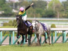 約9ヶ月前阪神三冠馬タイトルホルダー の背中を見て懸命にくらいつき レース後には空馬で駆け抜けたり メロディーレーンちゃんに見守られたり と色々ネタ枠になったが、 その後ステイヤーズSで重賞を勝って 今回サウジでも海外馬相手に重賞制覇 ある意味永遠に記憶に残りそうな シルヴァーソニック好き