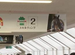 Pictures