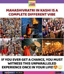 Different Vibe! #Mahashivratri #Harharmahadev