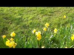 Je vais au travail \ud83e\udd70\ud83e\udd70