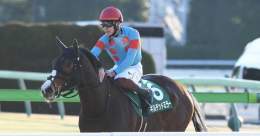 【#根岸Ｓ】#ギルデッドミラー 前走の再現ならず２着　三浦「勝ち切れずに申し訳ありません」 - サンスポZBAT!  @sanspoyosououより