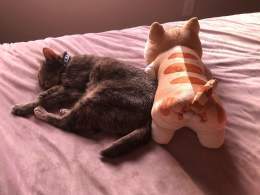 Angel has a BF now. \ud83d\ude01